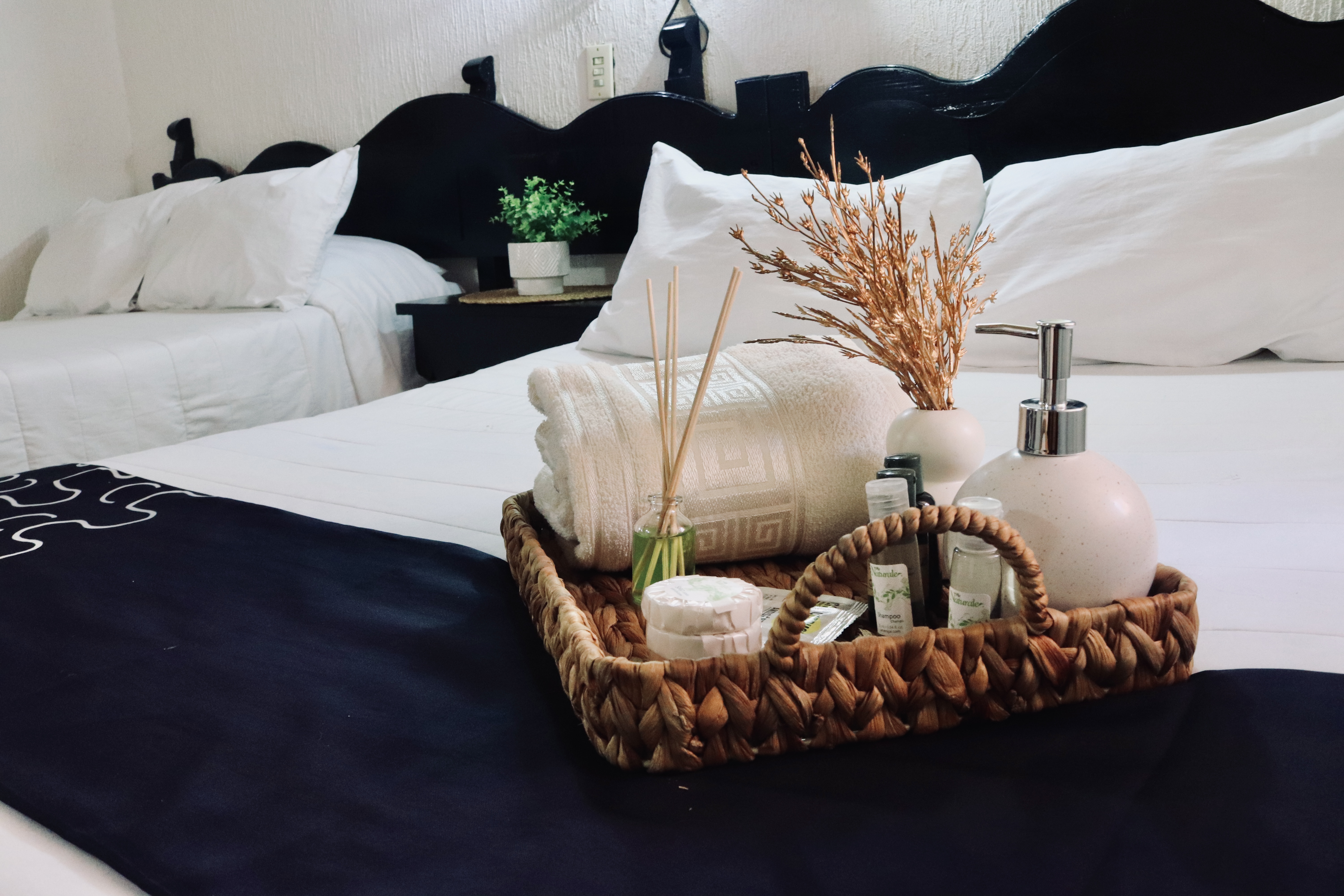 Amenidades de bienvenida en habitación