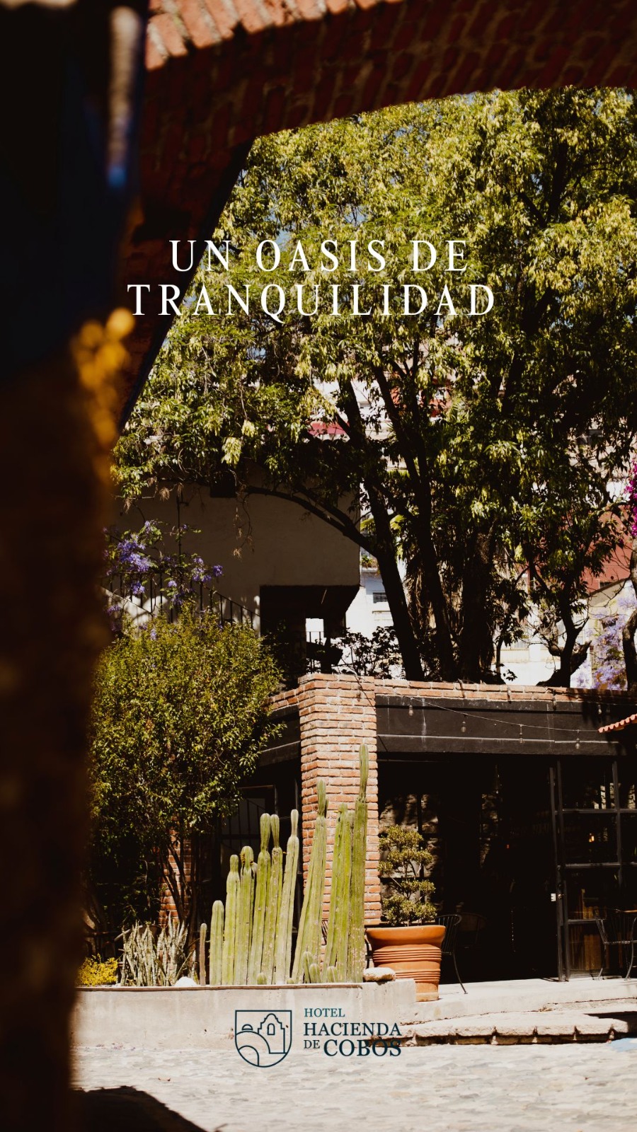Jardín y patio colonial del Hotel Hacienda de Cobos